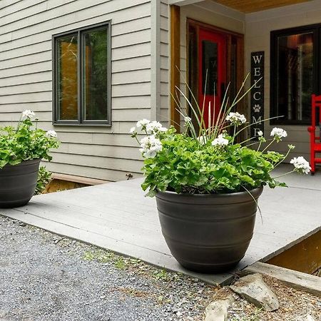 Bluebird Mountain Home Mount Torry Furnace Εξωτερικό φωτογραφία