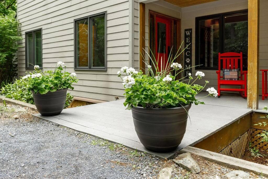 Bluebird Mountain Home Mount Torry Furnace Εξωτερικό φωτογραφία