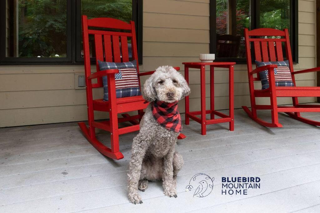 Bluebird Mountain Home Mount Torry Furnace Εξωτερικό φωτογραφία